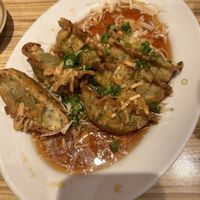 Not the greatest picture but the tastiest food!! Veggie Gyoza  at Kakekomi Gyoza in Tokyo