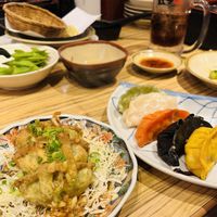 The fried vegan gyoza on the left with their bed of cabbage and sauce!  at Kakekomi Gyoza in Tokyo