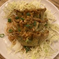 Good Vegan Gyoza   at Kakekomi Gyoza in Tokyo