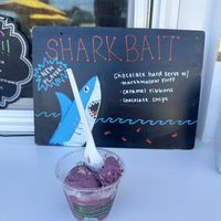 My small blueberry cookie  at Sweet Izzy in Harwich Port