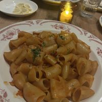 Paccheri - Pasta with Cauliflower Ragú   at Maria & Enzo's Ristorante in Lake Buena Vista