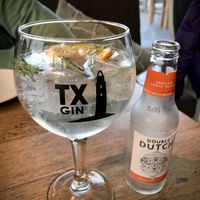 Gin Tonic mit Queller und Orange 🤩  at Paal 17 in Texel
