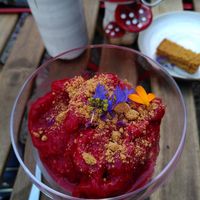 Raspberry sorbet at Wilde Tijm in Kruisem