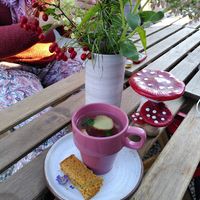 Fresh herbal tea and lovely table setting at Wilde Tijm in Kruisem