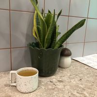 interior  at Raw to Go Kitchen in Moscow