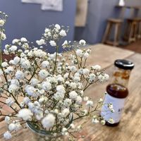 table  at Gustav Grün in Oldenburg