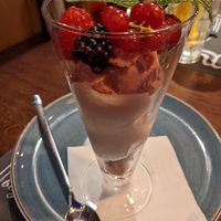 Sorbet with red fruit at Oranjerie ‘t Vogelhuis in De Koog