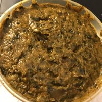 Vegan Aloo Saag   at Mr. Tandoori in Pueblo