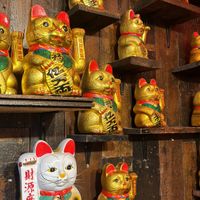   at Asia Market in Dublin