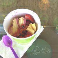Kind of  crazy about those boba! at Yolove Frozen Yogurt in Chandler