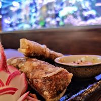 Vegane Frühlingsrollen at Mr Tu in Cottbus