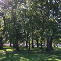 Market from a park square perspective  at Tremont Farmers Market in Cleveland