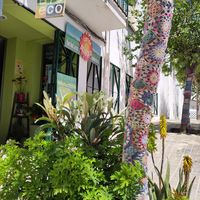  at La Kombucheria in Vejer De La Frontera
