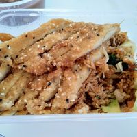 Freid "duck" with fried rice at Tau in Vienna