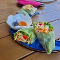 Sommer Rolle at Tau in Vienna