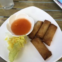 Spring rolls   at Tau in Vienna