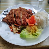 Fried 'duck' at Tau in Vienna