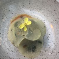 Mushroom ragout  at Oyster Oyster in Washington