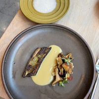   at Oyster Oyster in Washington