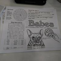 Even fun things for the kids and the kids at heart at Babes in Sacramento