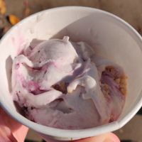 Blueberry cobbler at Babes in Sacramento