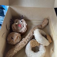 Vegan babelicious donut haul 🥰  at Babes in Sacramento