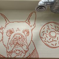 Inside Babes  at Babes in Sacramento