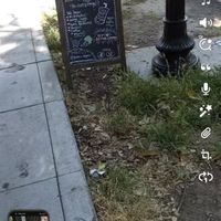  at Babes in Sacramento