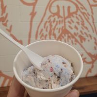 Birthday cake icecream[vegan] at Babes in Sacramento