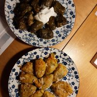 Vegetarian dolmadakia and vegan stuffed zucchini flowers at Ofou to lo in Crete