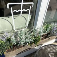 Fake plants  at Blue Pearl Cafe in Ardmore