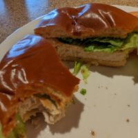 Not the best picture but this is the Gardein chicken patty sandwich at Thunderbird Restaurant in Mount Carmel