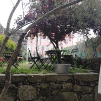 Garden at The Happy Nest in Porto