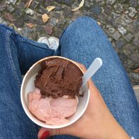 Vegan chocolate and pie plant ice cream at Frau Lüske Kaffeehaus in Berlin