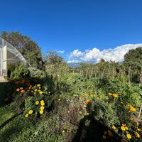 Garden with greenhouse to sit it at Villa Govinda - Veg Soul in Olgiate Molgora