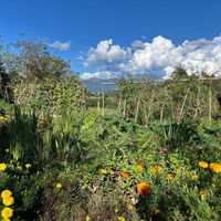 Vegetables at Villa Govinda - Veg Soul in Olgiate Molgora