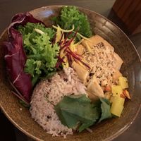 To special Bowl at To1980 Vegan in Dusseldorf