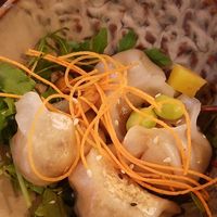 Dumpling at To1980 Vegan in Dusseldorf
