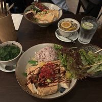 Vegetable and Peanut Curries  at To1980 Vegan in Dusseldorf