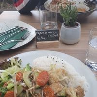 Stir Fry with Rice and extra Tofu at Tonkin in Flensburg