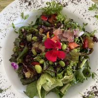 ensalada con arroz negro  at Naked in San Luis Potosi