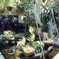 Ambience  at Shamballa Vegetarian Restaurant Lounge & Cafe in Ho Chi Minh City