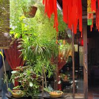  at Shamballa Vegetarian Restaurant Lounge & Cafe in Ho Chi Minh City