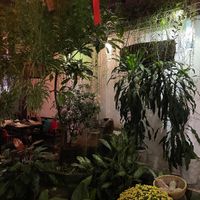 Lots of plants inside  at Shamballa Vegetarian Restaurant Lounge & Cafe in Ho Chi Minh City