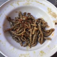 Hemp pasta with soy ragu at UNO Caffé Olistico in Bologna