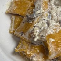 Pasta STUFFED WiTH PUMPKiN & SMOKED TOFU WiTH CREAM SAUCE & MUSHROOMS  at UNO Caffé Olistico in Bologna
