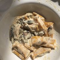 Plin  at UNO Caffé Olistico in Bologna