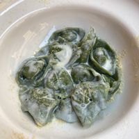   at UNO Caffé Olistico in Bologna