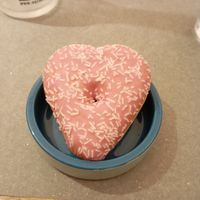 Vegan donut at UNO Caffé Olistico in Bologna