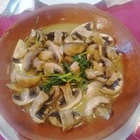 Bulhão Pato Mushrooms at O Campista in Cabanas